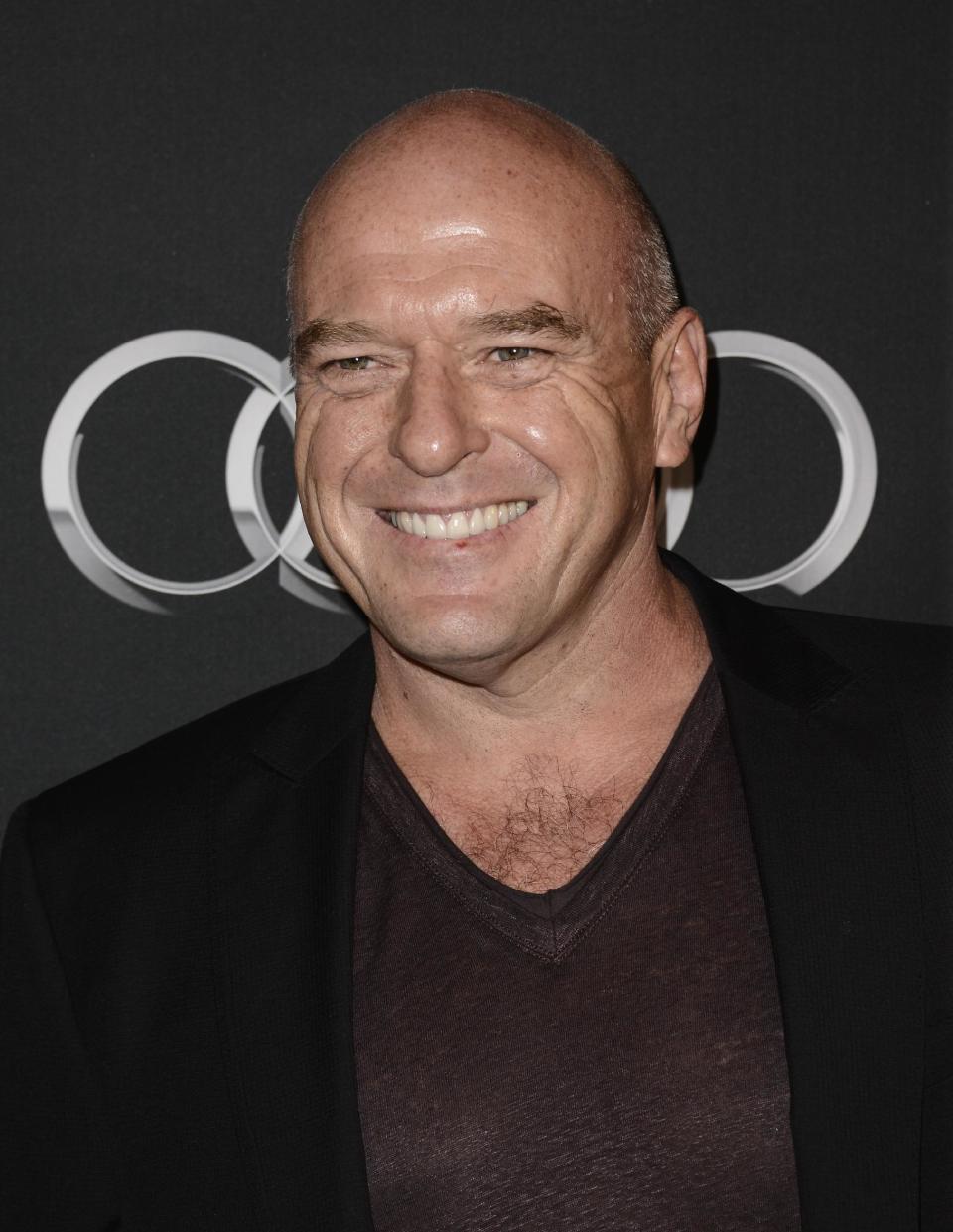 Actor Dean Norris arrives at the BAFTA's Los Angeles TV Tea party at the SLS Hotel on Saturday, Sept. 21, 2013 in Los Angeles. (Photo by Dan Steinberg/Invision/AP)