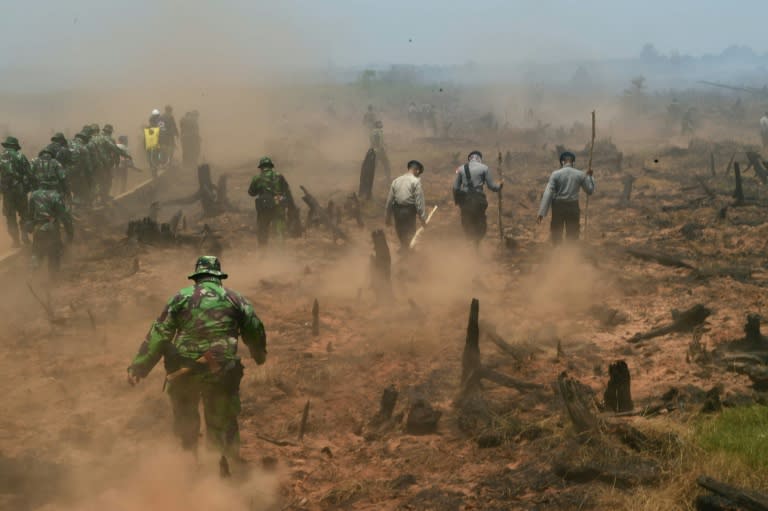 Indonesian firefighters backed by police and military troops fight fires in Southern Kalimantan province on Borneo island on September 23, 2015