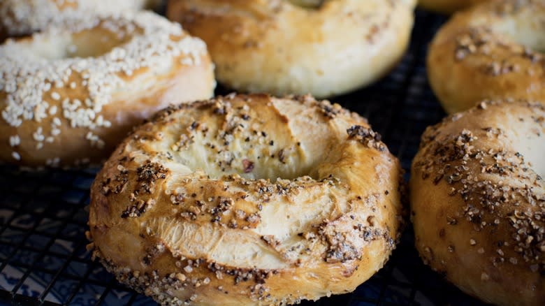 assortment of homemade bagels