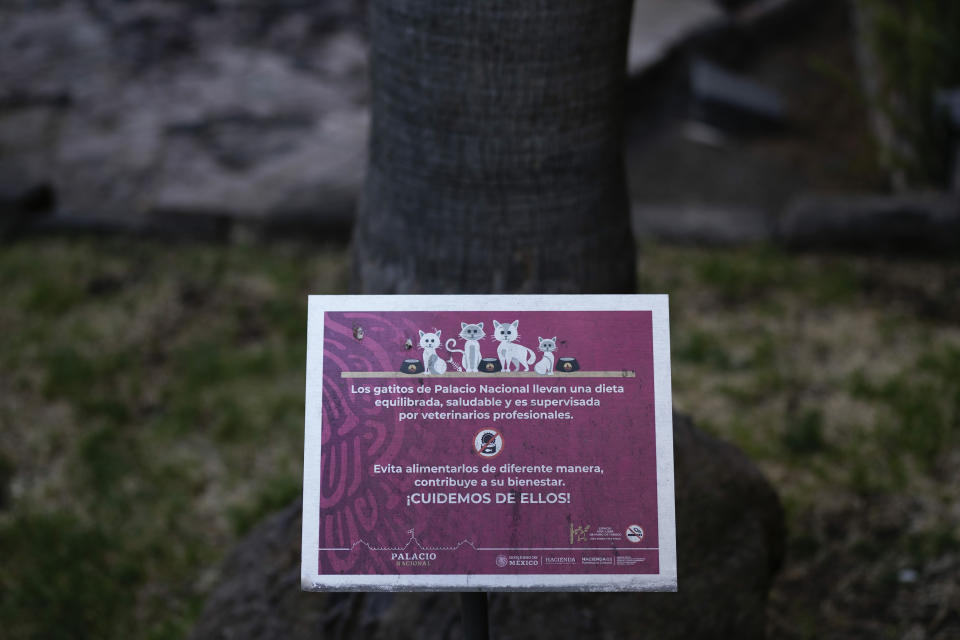 A sign warns visitors to avoid feeding the feral cats roaming the National Palace grounds, in Mexico City, Thursday, March 4, 2024. Palace staff worked with vets from the National Autonomous University of Mexico to vaccinate, sterilize and chip the cats, and build them cat homes and feeding stations around the garden. (AP Photo/Eduardo Verdugo)