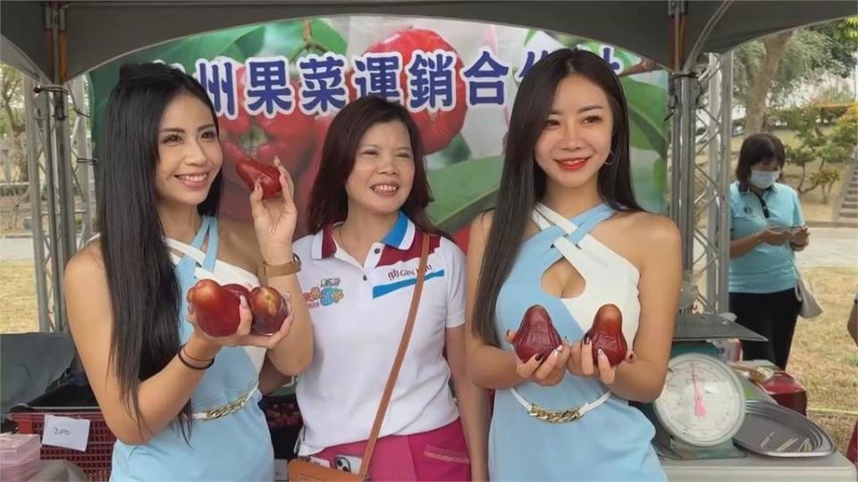 屏東南州郊蓮霧嘉年華　4公頃3D花海美翻打頭陣吸人潮