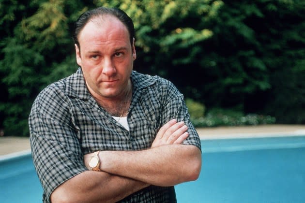 James Gandolfini in 'The Sopranos'  - Credit: Anthony Neste/Getty Images