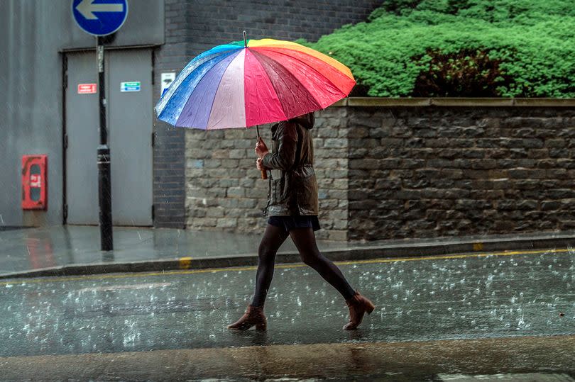 Person with umbrella