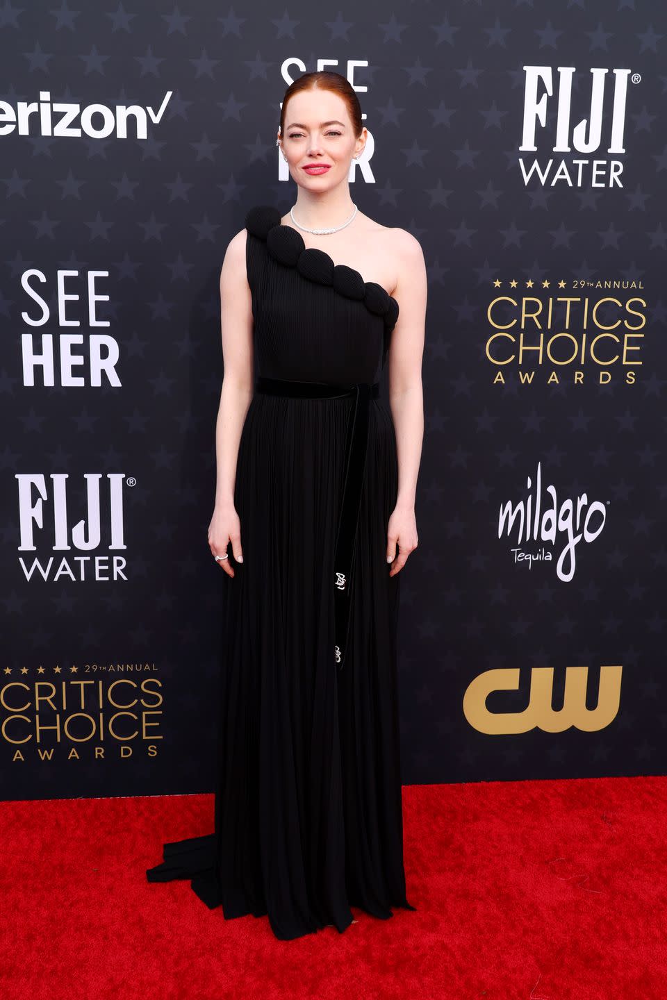 29th annual critics choice awards red carpet