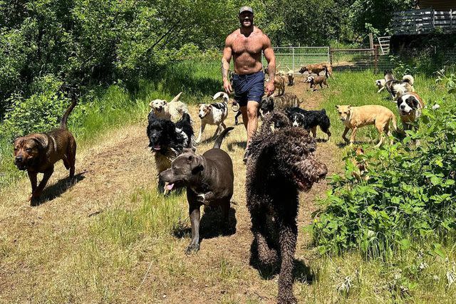 <p>Lee Asher/Instagram</p> Lee Asher takes a walk with his dogs.