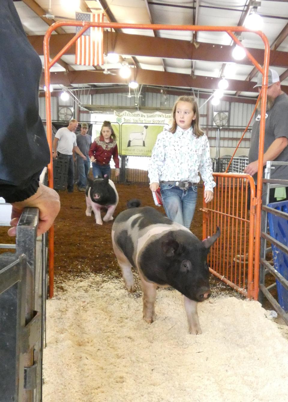 Violet Rossman, 10, a member of the Diary Maids and Gents 4-H club, exits the ring after competing in a swine showmanship class on Monday morning at the Crawford County Fair.