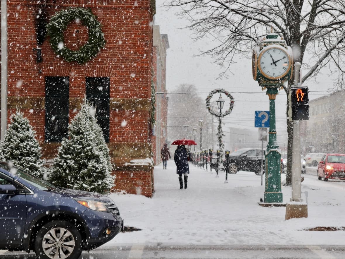 Environment Canada expects the snow to taper off Thursday.   (Jane Robertson/CBC - image credit)