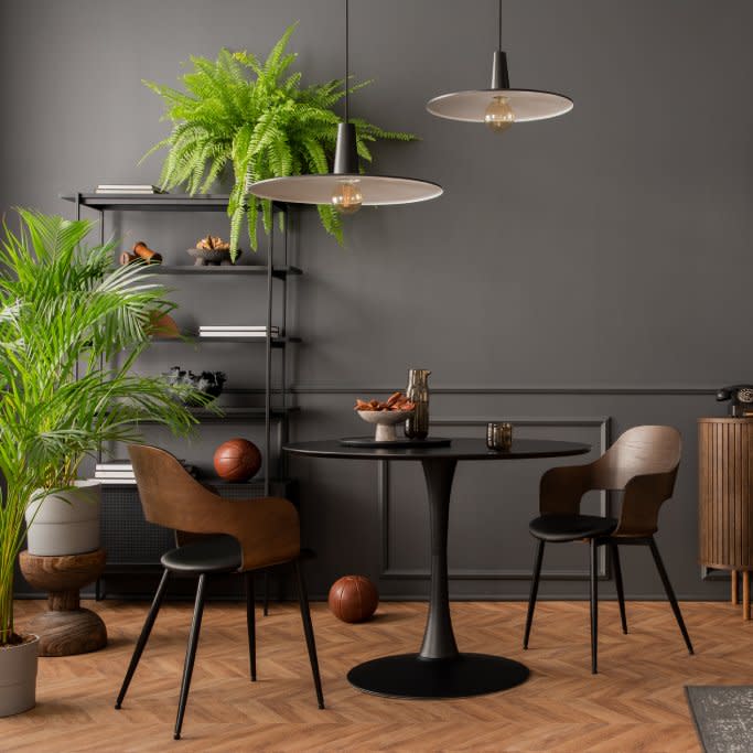  Houseplants in a room with dark gray walls. 