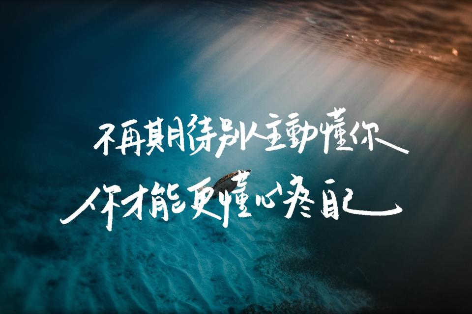 <p>▲（圖／海苔熊提供）</p>
