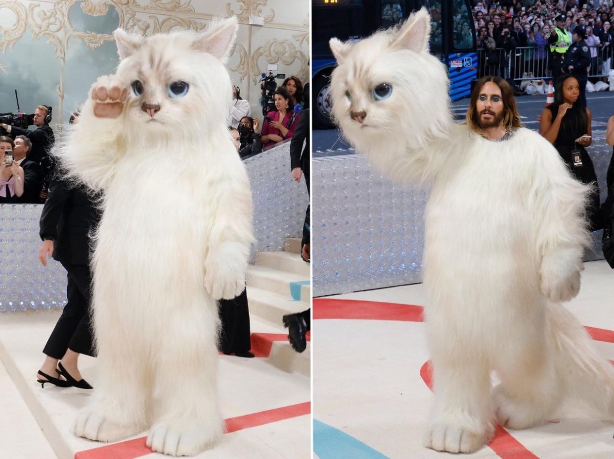 Two side-by-side images show Jared Leto dressed in a furry white cat costume, posing on the red carpet of the 2023 Met Gala. Leto waves in the first, and removes the cat head in the second.