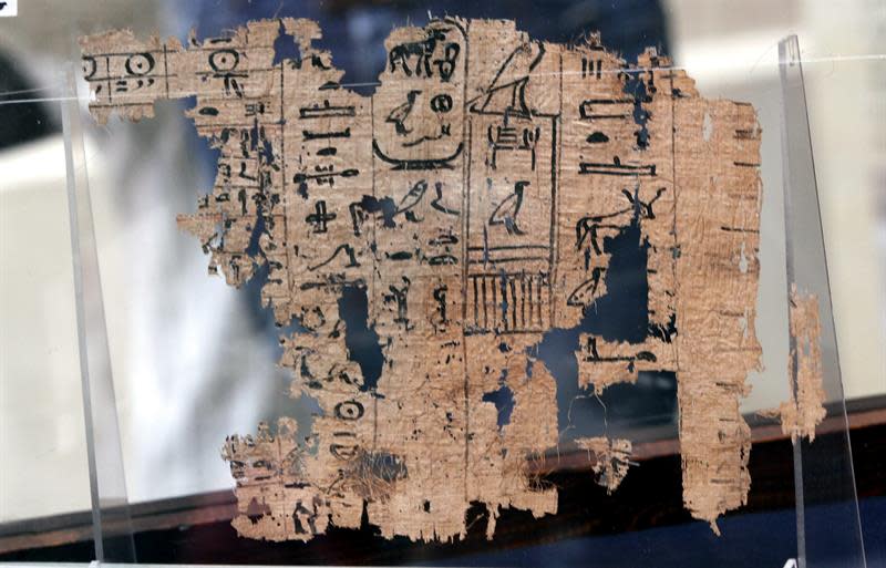 Por su parte, el catedrático de Antigüedades de la Universidad de Asiut y codirector de la misión de excavaciones que descubrió los papiros, El Sayed Mahfuz, dijo a Efe que han en Wadi al Gurf fueron halladas mil piezas de papiros, pero que todavía necesitan más tiempo para unirlas y restaurarlas. Mahfuz precisó que los papiros dan a conocer el sistema administrativo de Egipto en aquella época del reino de Keops (en torno al año 2.550 a.C.). Foto: EFE
