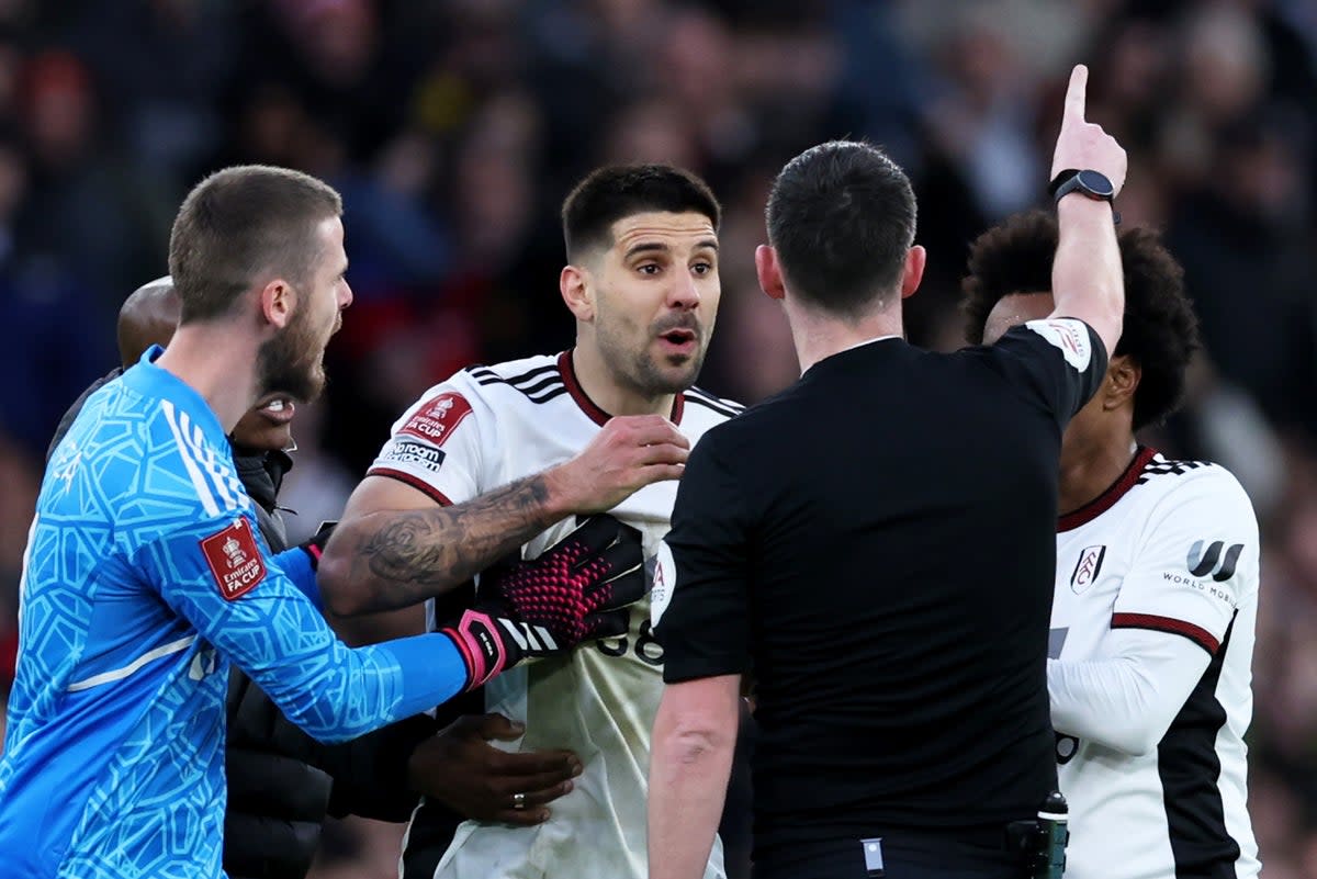 Shove: Aleksandar Mitrovic (Getty Images)