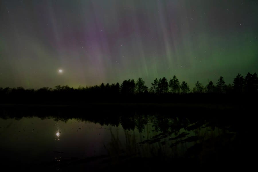 The northern lights glow in the sky over St. Croix State Forest near Markville, Minn., late Friday, May 10, 2024. (AP Photo/Mark Vancleave)