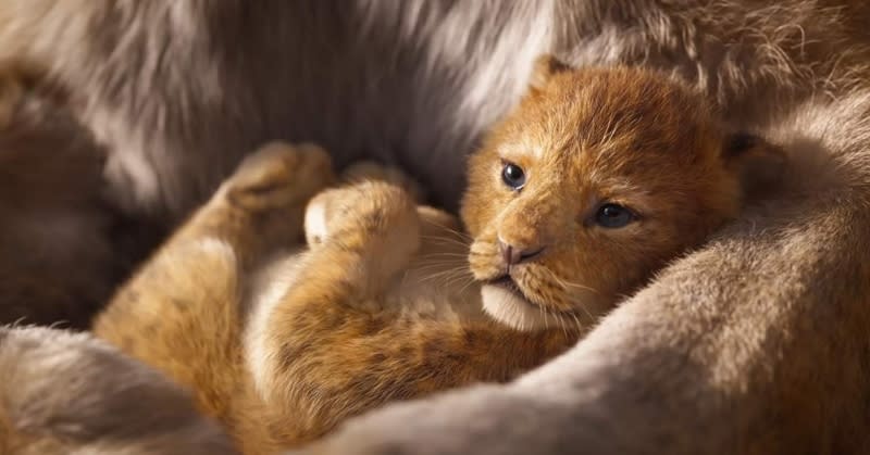 Is The Lion King a shot-for-shot remake?