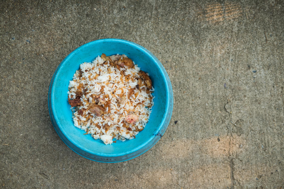 Le riz blanc cuit et le poulet (sans peau ni assaisonnement) peut apaiser le système digestif de votre chien (Getty Images/iStockphoto)