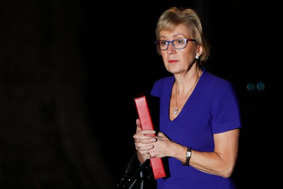 Leader of the House of Commons Andrea Leadsom arrives at No10 to be briefed on the Brexit deal (AFP/Getty Images)