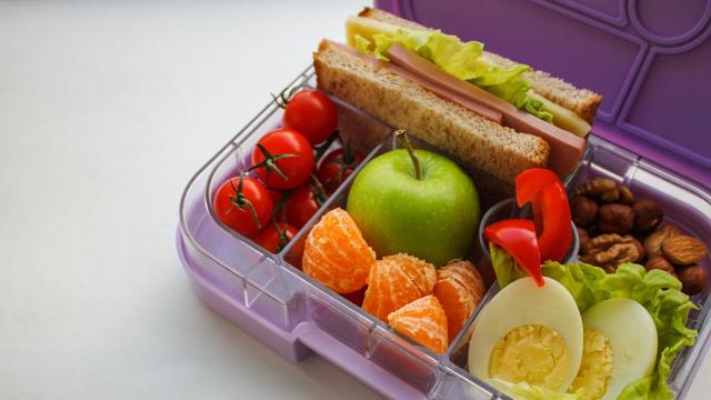 Lunch box with sandwich and apple on white background