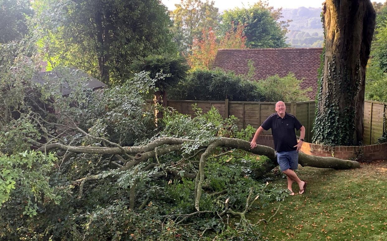 Mr Faulkner standing by fallen limb