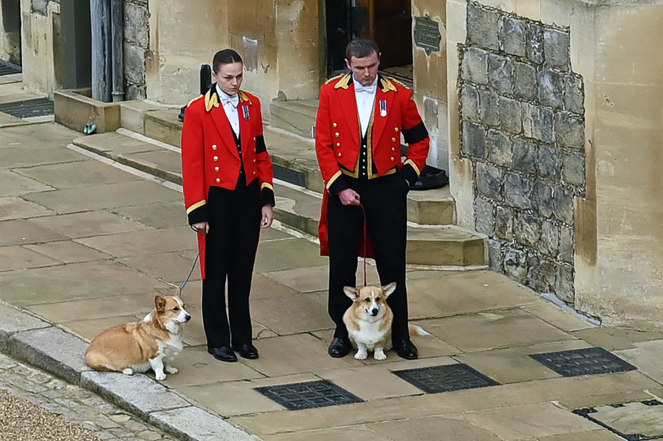 The Queen's corgis, Muick and Sandy, now live with Sarah Ferguson 