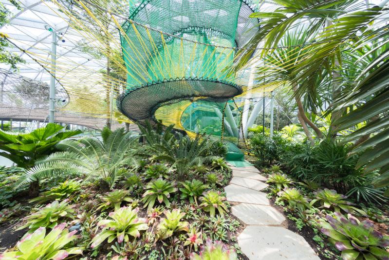 Jewel Changi Airport canopy park