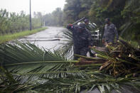 <p>Civil defense personnel work removing fallen trees from the highway linking the provinces of Maria Trinidad Sanchez and Samana, in Dominican Republic, on September 19, 2022, after the passage of Hurricane Fiona.</p> 