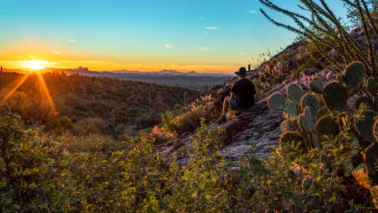 A hiker watching the sunset surrounded by buffel grass, ocotillo, prickly pear cactus, and other Sonoran Desert plants.