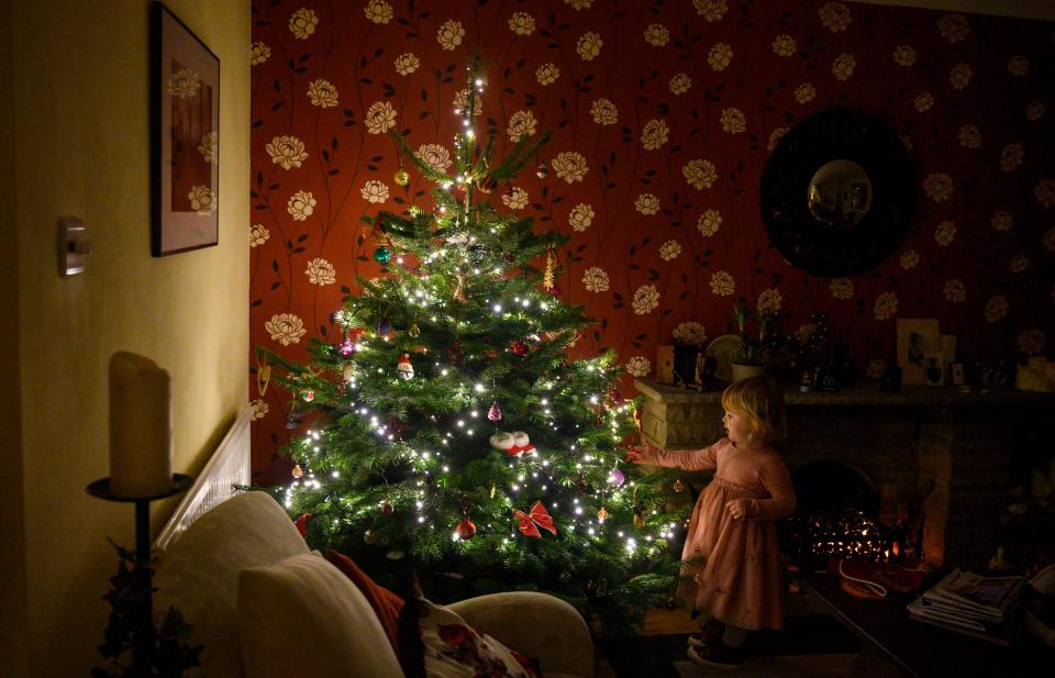 Young 3 year old girl decorating a Christmas tree UK