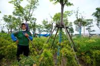 Worker works near a plot of land designated to be used by Tesla for an expansion of its Gigafactory in Shanghai