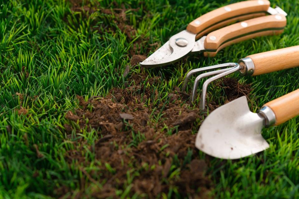 Clean garden tools near a patch of dirt in green grass. 