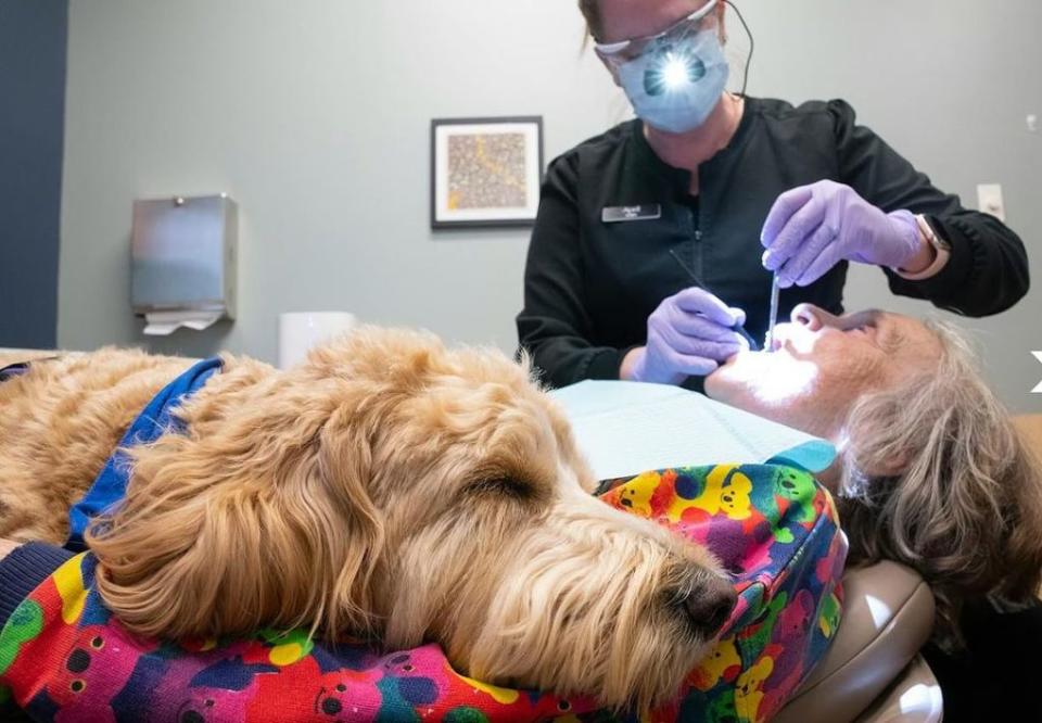 The idea was that Ollie could provide that stress relief and boost in happiness to those who aren’t completely comfortable at the dentist. Instagram / @jandddental