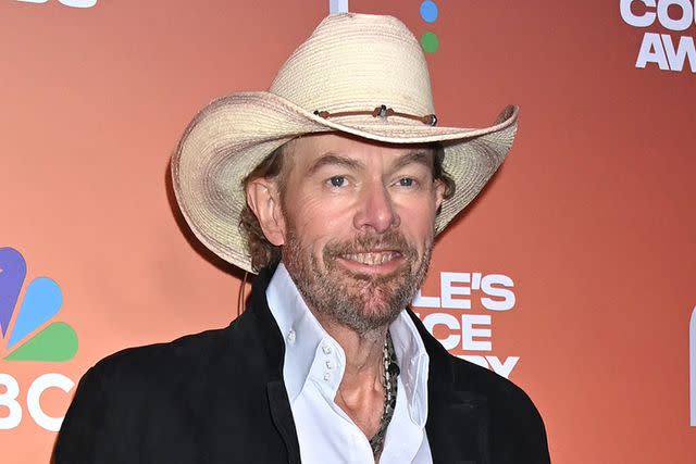 <p>Tammie Arroyo/Variety via Getty Images</p> Toby Keith