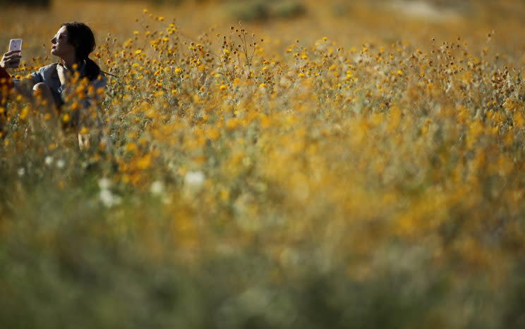 super bloom engagement photos