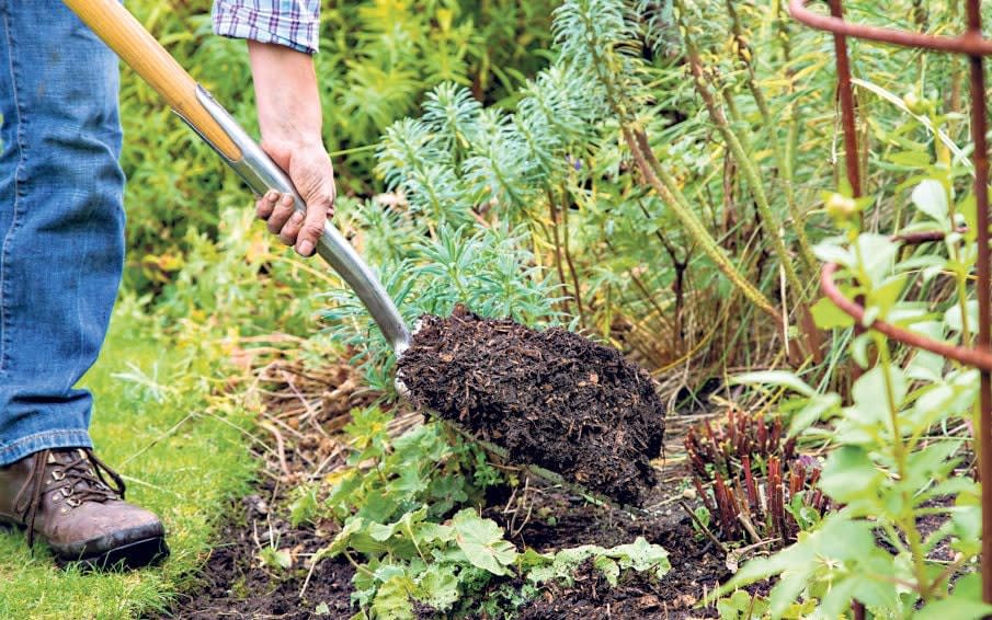  Now is the time to mulch borders to ensure good plant health - Andrew Crowley