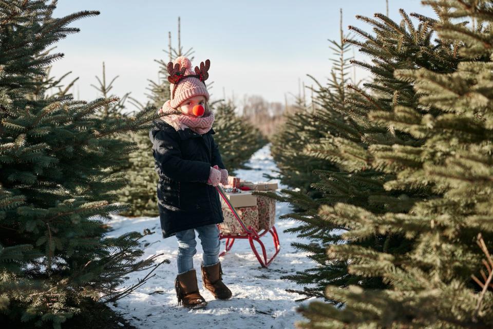 South Dakota: Riverview Tree Farm