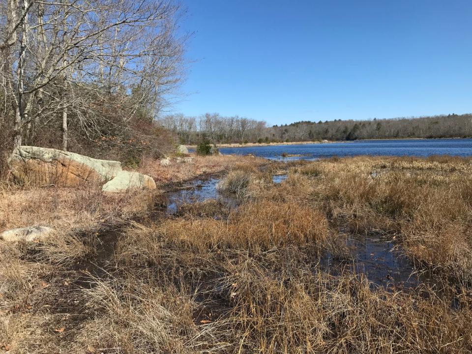 A path leads downhill to what once may have been a cove but is now a grass- and reed-covered marsh.