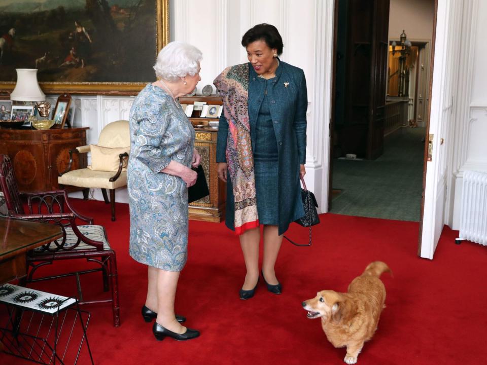 April: The Queen meeting Baroness Scotland with one of her dogs at Windsor Castle. File pic