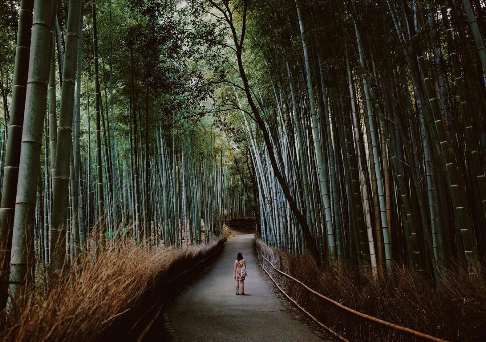 Kyoto, Japan