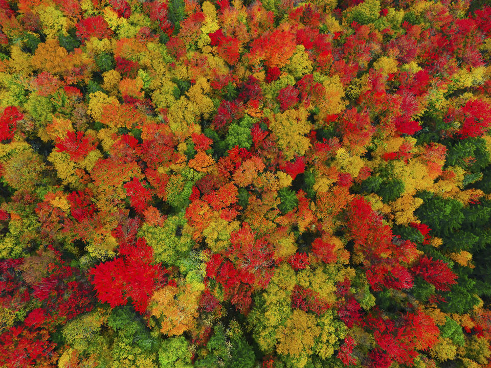 Aerial images capture beautiful autumn landscape 