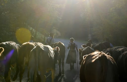 A study in Nature calculated rich nations would have to eat 90 percent less meat by 2050 to sustainably accomodate a projected global population of 10 billion