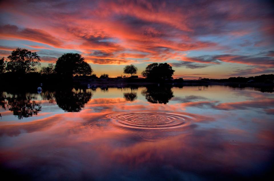 A pond at sunset