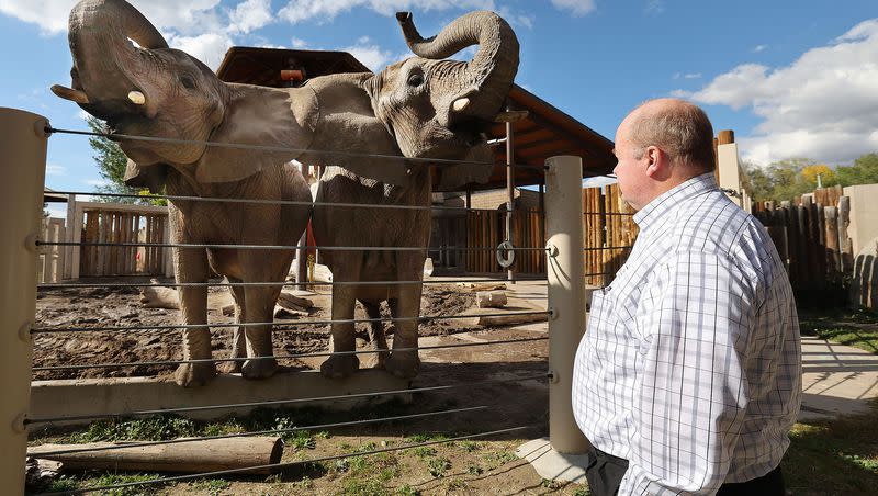 Hogle Zoo president Doug Lund looks over elephant mother Christie and daughter Zuri at the zoo in Salt Lake City on Friday, Oct. 13, 2023. The elephants are being relocated.