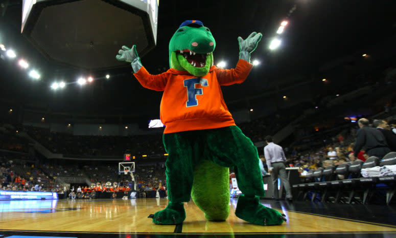 The Florida Gators mascot performing during a game.