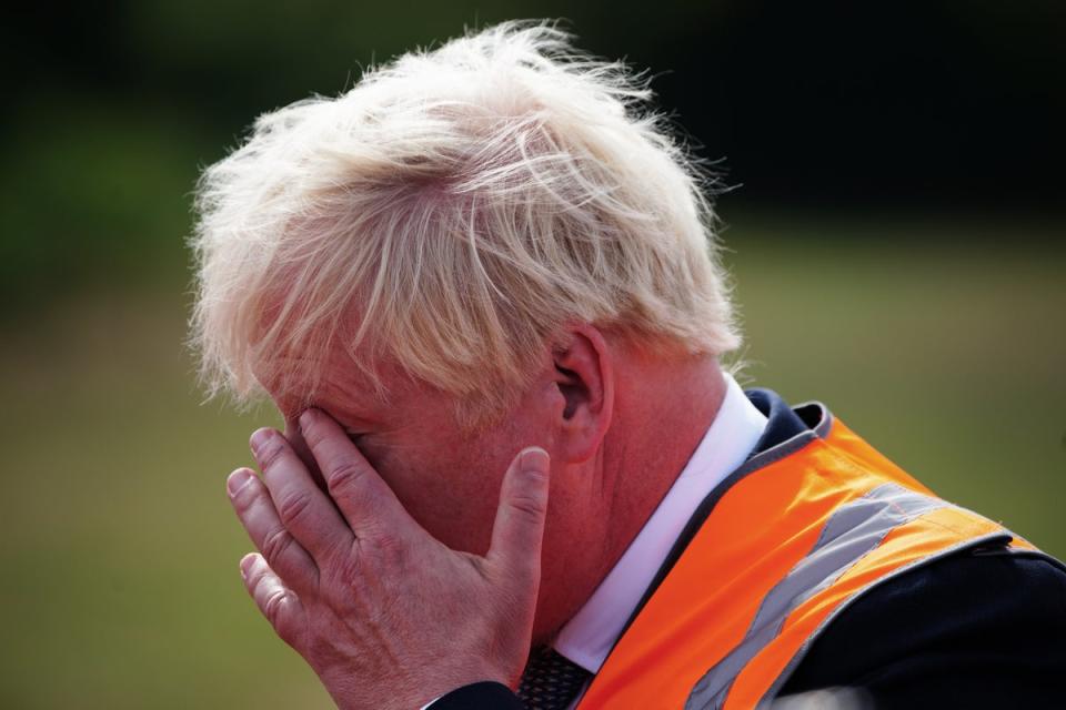 Prime Minister Boris Johnson during a visit to Henbury Farm in north Dorset (PA) (PA Wire)