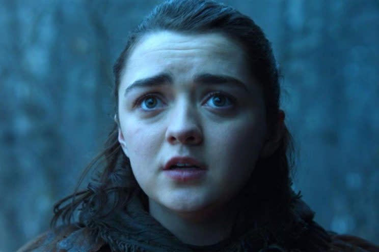 Arya sees Nymeria and begs her to come north (HBO/Sky)