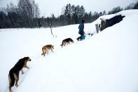 Yuri Baikov, 69, is followed by his dogs at his small farm situated in a forest near the village of Yukhovichi, Belarus, February 8, 2018. REUTERS/Vasily Fedosenko