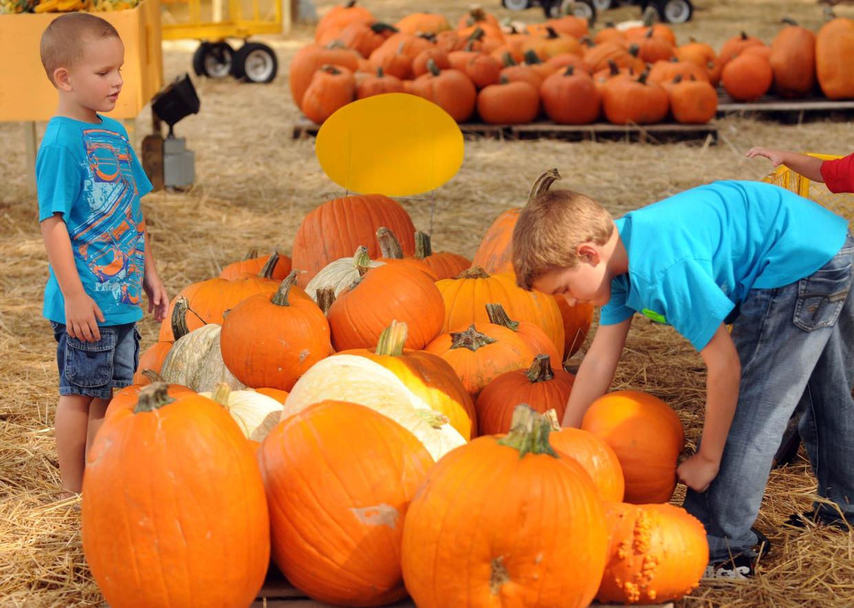 Pictured from Sept. 29, 2011, from left to right brothers Kenneth White and Jeffrey Sikes Jr. pick out pumpkins at the pumpkin patch operated by Wesley Memorial United Methodist Church.