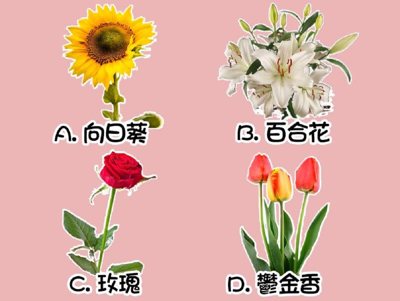 ▲選一種你最喜歡的花，測最近是否能「心想事成」？（圖／翻攝自《Look Pretty 美日誌》）