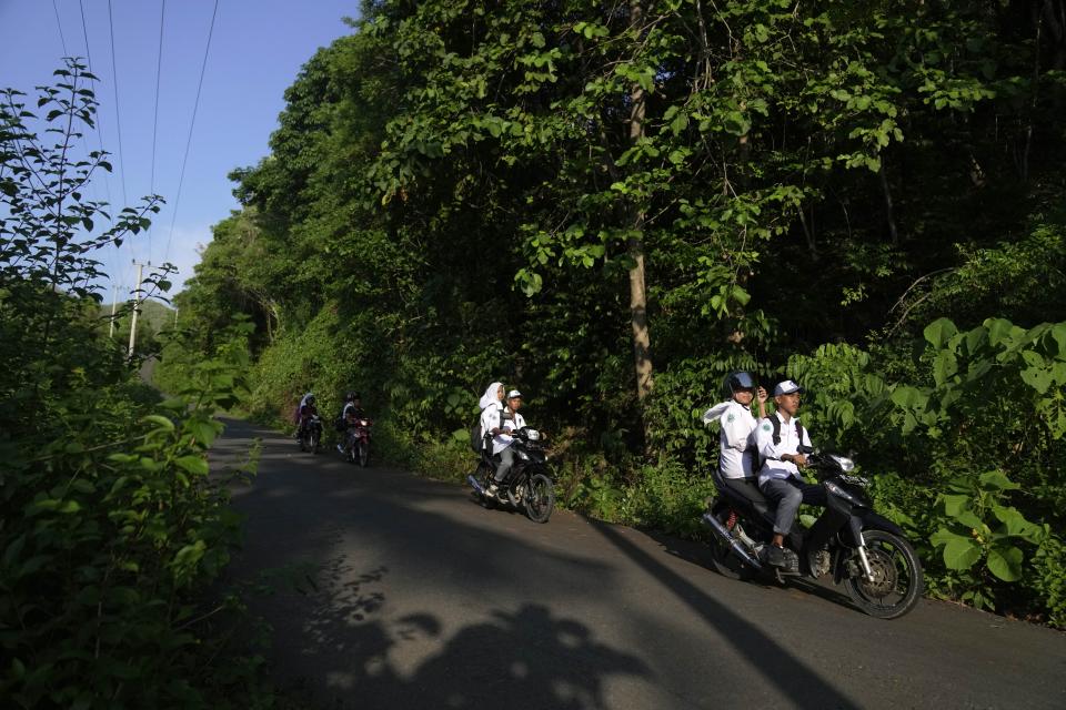 People ride their bikes on a road built on a corridor used by maleo to travel from the forest to the beaches where they lay eggs, in Mamuju, West Sulawesi, Indonesia, Thursday, Oct. 26, 2023. Maleo population is facing a new threat as the region that was just set up as a "support region" for the development of the country's new capital city on Borneo Island has been constructing roads and planning to build more ports for transporting building materials to the national project. (AP Photo/Dita Alangkara)
