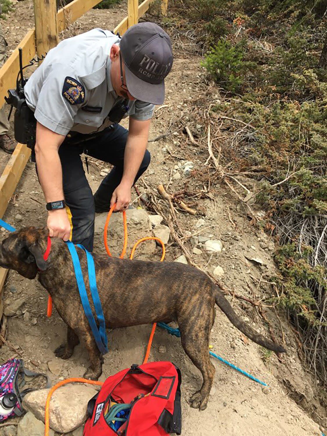  Police officer and local fire chief rescue dog from ledge overlooking Mimi Falls.