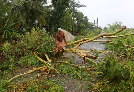 A man cuts branches of an uprooted tree following Cyclone Fani in Khordha district in the eastern state of Odisha, India, May 3, 2019. REUTERS/R Narendra
